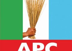 Omo-Agege And The Myth Of Building Delta APC Alone