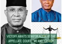 Victory Awaits Senator Agege At The Appelate Court -MAYFA