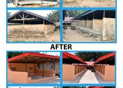 Delta Lands Commissioner, Obiodeh Renovates Market, Builds School Pavilion In Igbide Community