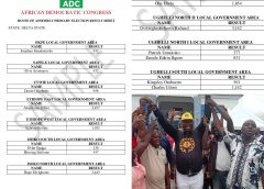 ADC PRIMARIES: Aduvie Floors Rivals, Clinches Ughelli North II Ticket With 3,142 Votes