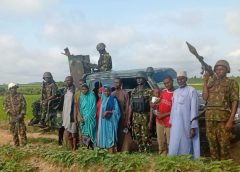 Troops Rescue Nine Kidnap Victims, Recover 56 Rustled Livestock, Arrest Terror Suspect In Katsina