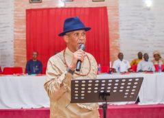 Nigeria Senator Vows To Keep $100bn Gas Park In Delta Communities