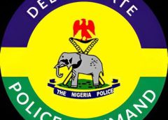 Police Arraign 22 Suspected Cultists, Secure Remand Orders In Delta