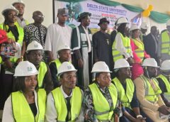DELSU, COREN, NSE Induct 282 Graduate Engineers